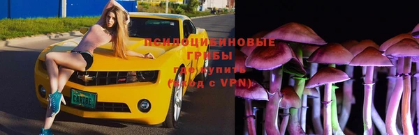 хмурый Гусев