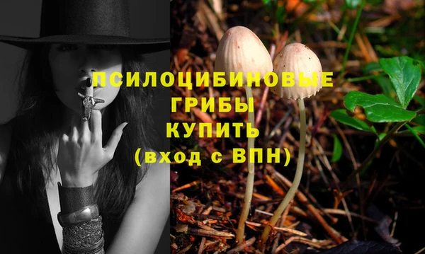 соль ск Аркадак