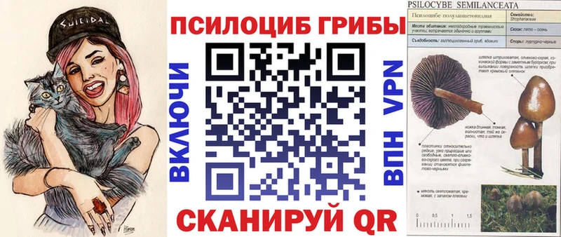 закладка Ленинск Псилоцибиновые грибы MAGIC MUSHROOMS